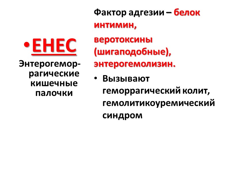 EHEC Энтерогемор-рагические кишечные палочки   Фактор адгезии – белок интимин,  веротоксины (шигаподобные),